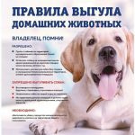 Опубликованы правила выгула животных